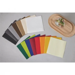 Tork Linstyle® biała serwetka obiadowa 39x39 New-30120